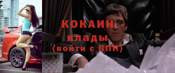 кокс Няндома