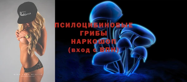 индика Бутурлиновка