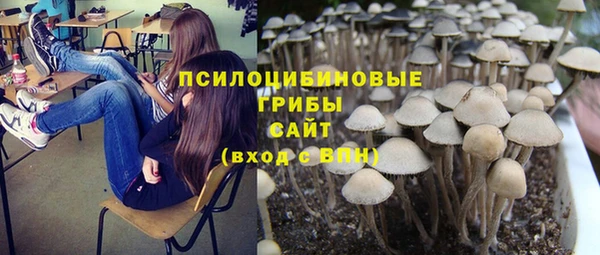 MESCALINE Нягань