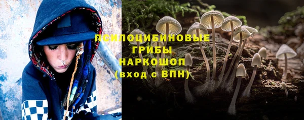 альфа пвп Нязепетровск