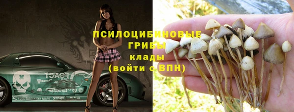 альфа пвп Нязепетровск