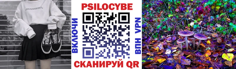 Псилоцибиновые грибы Psilocybine cubensis как найти наркотики darknet телеграм Северская